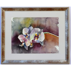 Orchid