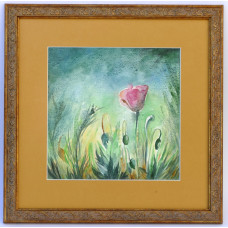 Poppy