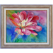 Zinnia