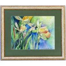 Daffodils